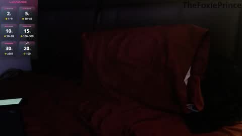 thefoxieprince online show from December 2025 04:18:02 AM
