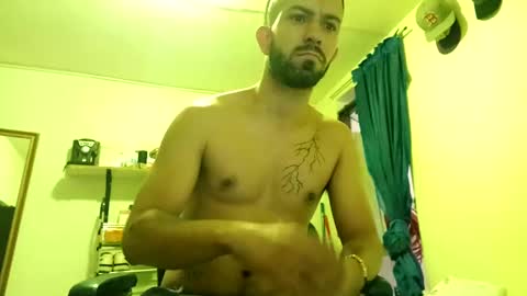 thehousedog online show from February 2025 02:49:01 PM