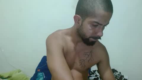 thehousedog online show from November 2025 10:59:01 AM