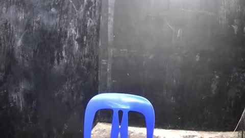 Snapshot of thehugecomeback chatting on March 2025 02:37:01 PM Xerxis online show from March 2025 02:37:01 PM