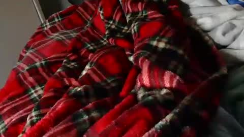 Liam online show from March 2026 08:35:02 PM