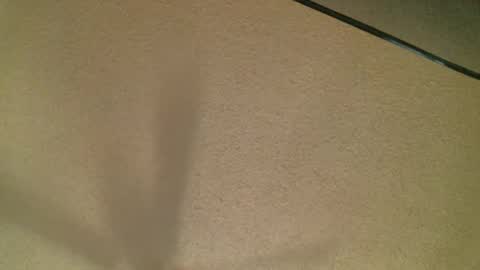 Daisy and Tim online show from October 2025 03:51:02 AM