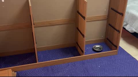 therealdylansdick online show from November 2025 12:41:01 AM