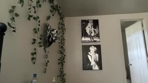 Snapshot of therealferrarii chatting on March 2026 02:29:01 PM therealferrarii online show from March 2026 02:29:01 PM