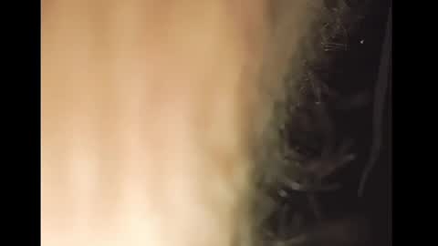 TheSexorcis online show from February 2025 12:58:01 AM