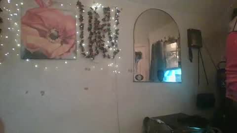 Snapshot of thesillymillie chatting on April 2026 08:53:02 PM sillymillie0 online show from April 2026 08:53:02 PM