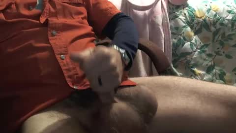 Snapshot of thetnguy chatting on December 2024 06:27:01 PM thetnguy online show from December 2024 06:27:01 PM