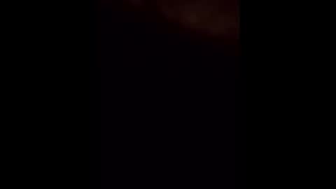 Snapshot of theturtleshead chatting on January 2025 04:09:02 AM theturtleshead online show from January 2025 04:09:02 AM