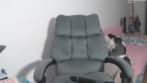 theysaidimcute online show from February 2026 09:11:02 PM