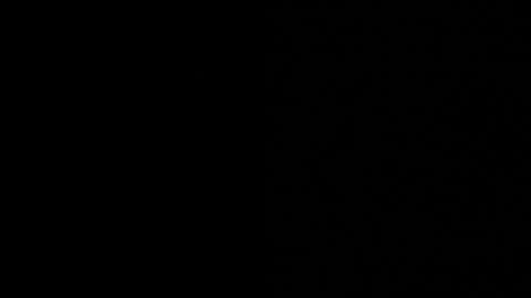 thiago_driussi online show from November 2025 09:36:01 PM