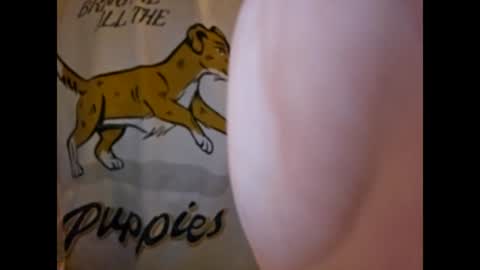 Snapshot of thisisfuckingfun chatting on March 2025 07:19:01 AM ThisIsFuckingFun online show from March 2025 07:19:01 AM