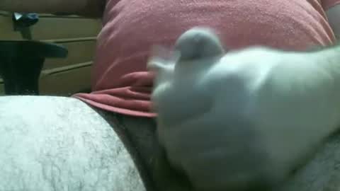 thomas0032 online show from February 2026 03:02:01 AM