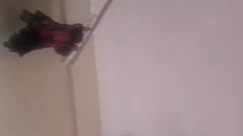 Thonas online show from November 2025 12:10:01 AM