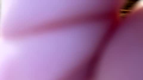 Snapshot of throatgoat2210 chatting on December 2025 01:05:02 PM throatgoat2210 online show from December 2025 01:05:02 PM