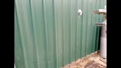 Snapshot of throbmasterr chatting on September 2025 09:48:02 PM throbmasterr online show from September 2025 09:48:02 PM