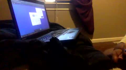 Tierra Henri online show from February 2025 03:49:02 PM