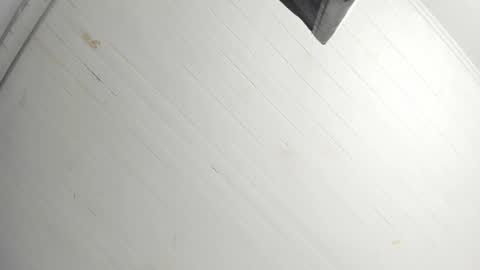 Tiffany online show from December 2025 01:08:01 PM