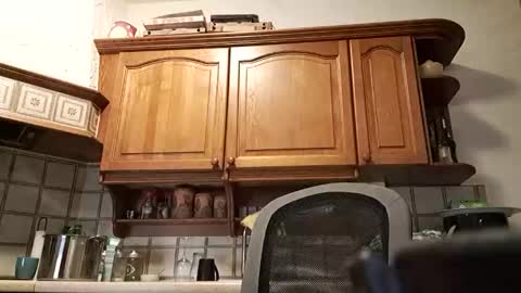 tigermatt76e online show from March 2026 06:32:01 PM