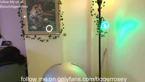 Snapshot of tiggerrosey chatting on April 2026 06:36:02 PM All my Links online show from April 2026 06:36:02 PM