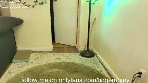 Snapshot of tiggerrosey chatting on April 2026 06:01:02 PM All my Links online show from April 2026 06:01:02 PM