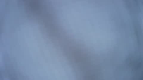 Snapshot of timgrower chatting on May 2026 07:08:01 PM Tim Grower online show from May 2026 07:08:01 PM