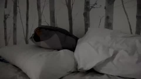 Snapshot of timtim777888 chatting on March 2025 08:30:02 AM Tim online show from March 2025 08:30:02 AM