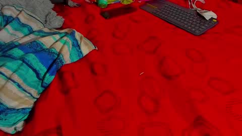 Snapshot of tina14v chatting on December 2024 11:31:02 PM west tina online show from December 2024 11:31:02 PM