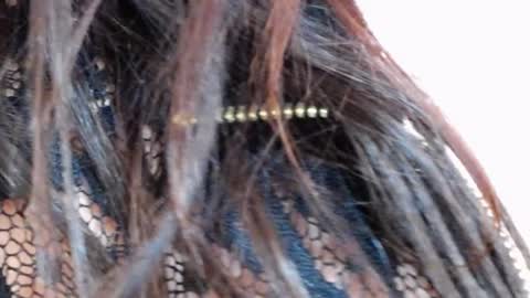 tinakay1 online show from December 2024 12:11:01 PM