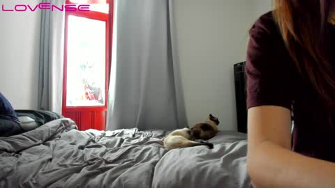 Tina online show from January 2025 04:44:01 PM