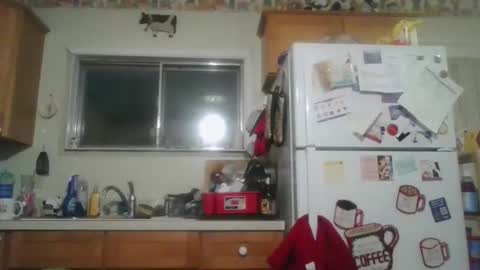 Snapshot of tiusflow chatting on November 2025 11:19:01 AM tiusflow online show from November 2025 11:19:01 AM