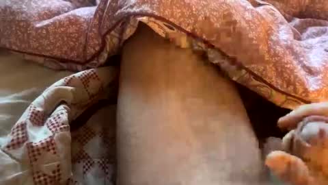 tliverth online show from November 2025 07:11:02 AM