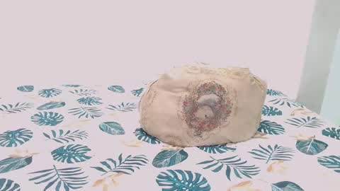 David online show from February 2025 07:16:01 AM