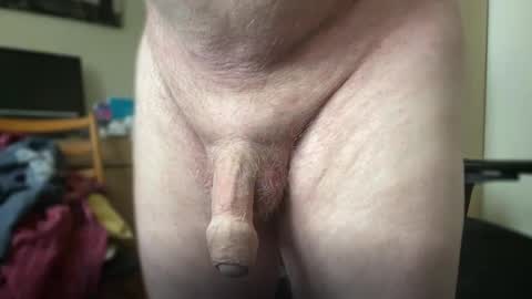 Togbear online show from October 2025 08:34:01 AM