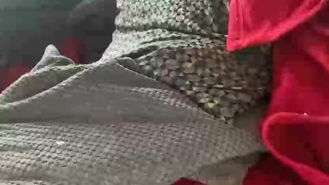 Snapshot of tom6644 chatting on January 2025 01:35:01 PM Tom online show from January 2025 01:35:01 PM