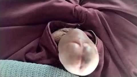 Tomas online show from January 2025 08:32:01 PM