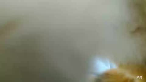 Blue online show from February 2025 03:42:02 PM