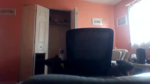 Snapshot of tomcat4848 chatting on April 2026 07:48:01 PM tomcat4848 online show from April 2026 07:48:01 PM