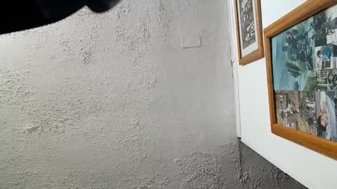 Tommy online show from November 2025 08:14:01 AM