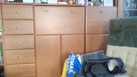 Tommy online show from January 2025 08:50:01 AM