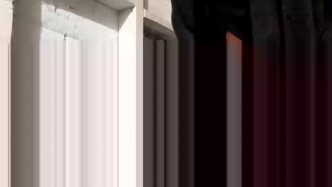 tonguefuckingyourass online show from October 2025 09:44:01 AM