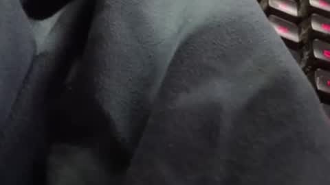 tonysafari online show from February 2025 01:38:02 PM