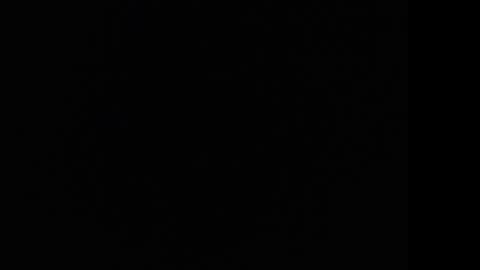 tooobvious online show from January 2025 01:32:01 AM