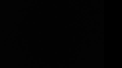 tooobvious online show from January 2025 04:33:02 AM