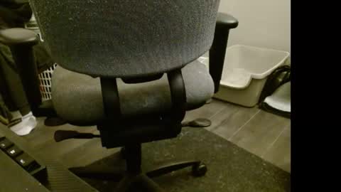 tooobvious online show from February 2025 11:22:02 PM