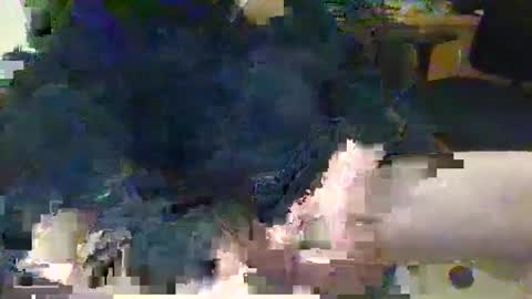 Snapshot of topcat127 chatting on March 2025 06:23:01 AM Topcat127 online show from March 2025 06:23:01 AM