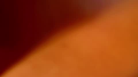 Tori Cross online show from February 2025 11:42:01 AM