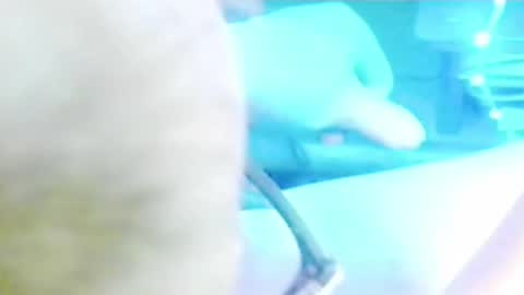 Snapshot of tornne chatting on April 2026 12:14:02 PM tornne online show from April 2026 12:14:02 PM