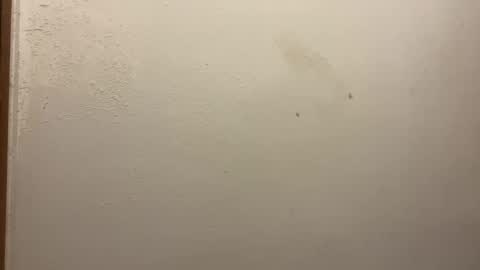 Snapshot of toronto5656 chatting on February 2025 03:20:01 PM toronto5656 online show from February 2025 03:20:01 PM