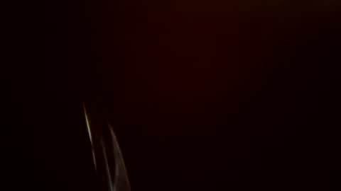 Snapshot of toronto5656 chatting on February 2025 11:54:01 AM toronto5656 online show from February 2025 11:54:01 AM