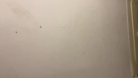 Snapshot of toronto5656 chatting on March 2025 03:31:01 PM toronto5656 online show from March 2025 03:31:01 PM